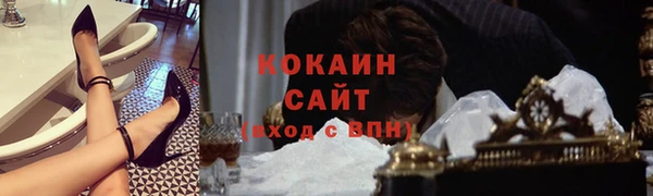 прущие грибы Алексеевка