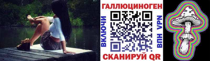 МЕГА зеркало  наркота  Багратионовск  Псилоцибиновые грибы Psilocybine cubensis 